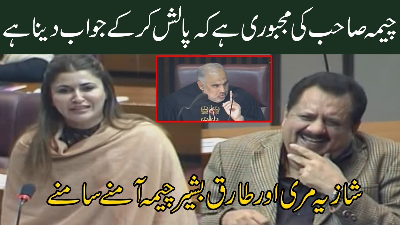 Ho skata hai Cheema Sahib ko 'Polish' kr k Jawab dena prta hai | Shazia Marri vs Tariq Bashir Cheema
