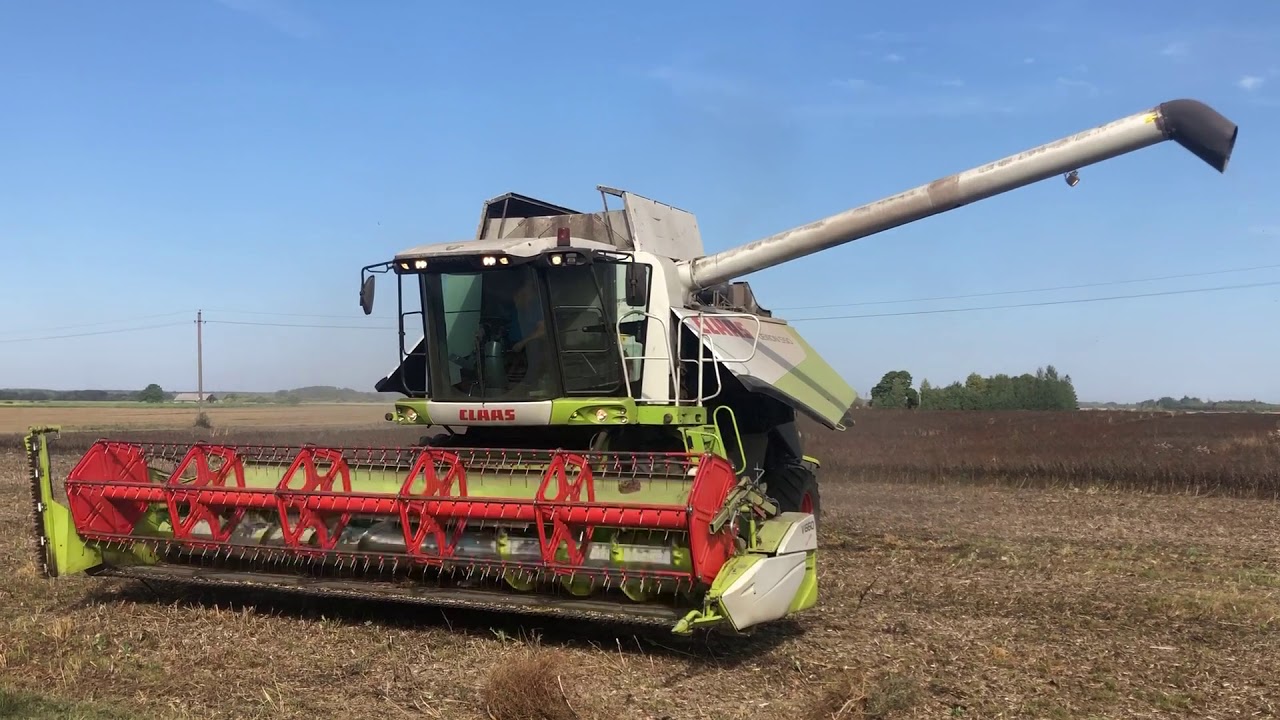 CLAAS LEXION 550 for SALE!!!