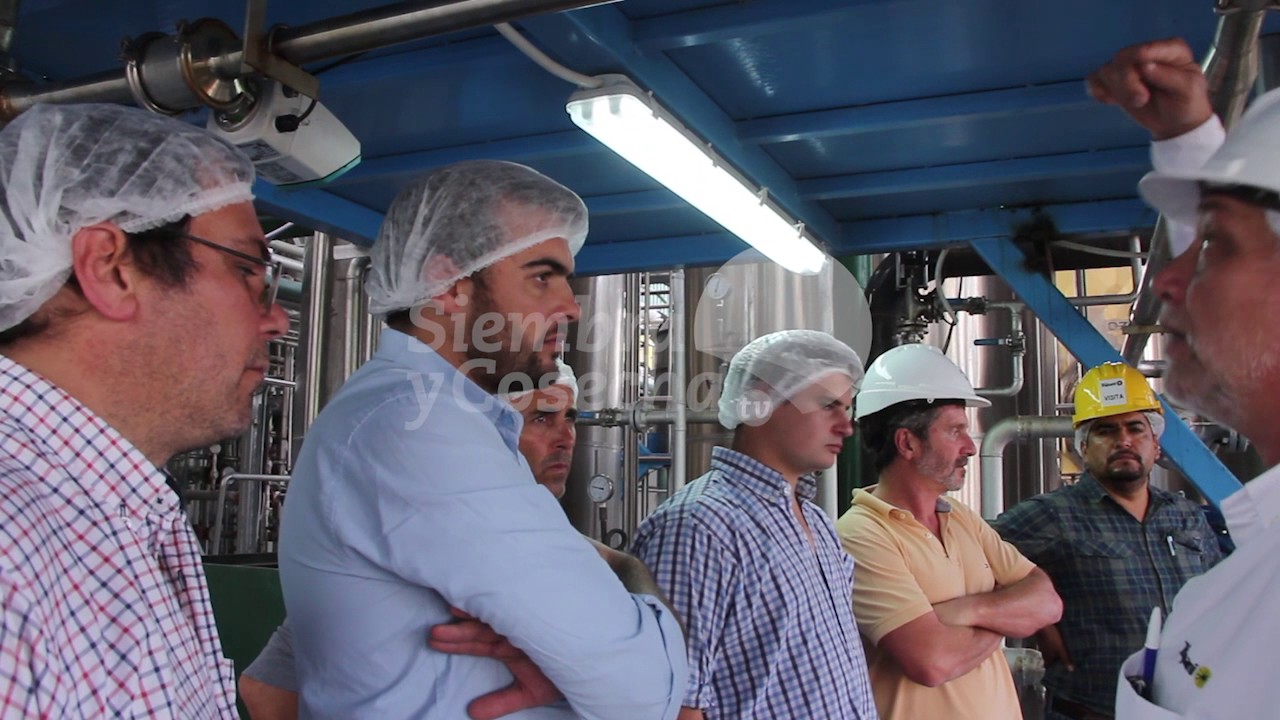 SIEMBRA Y COSECHA TV: Industria de limón FG Trapani