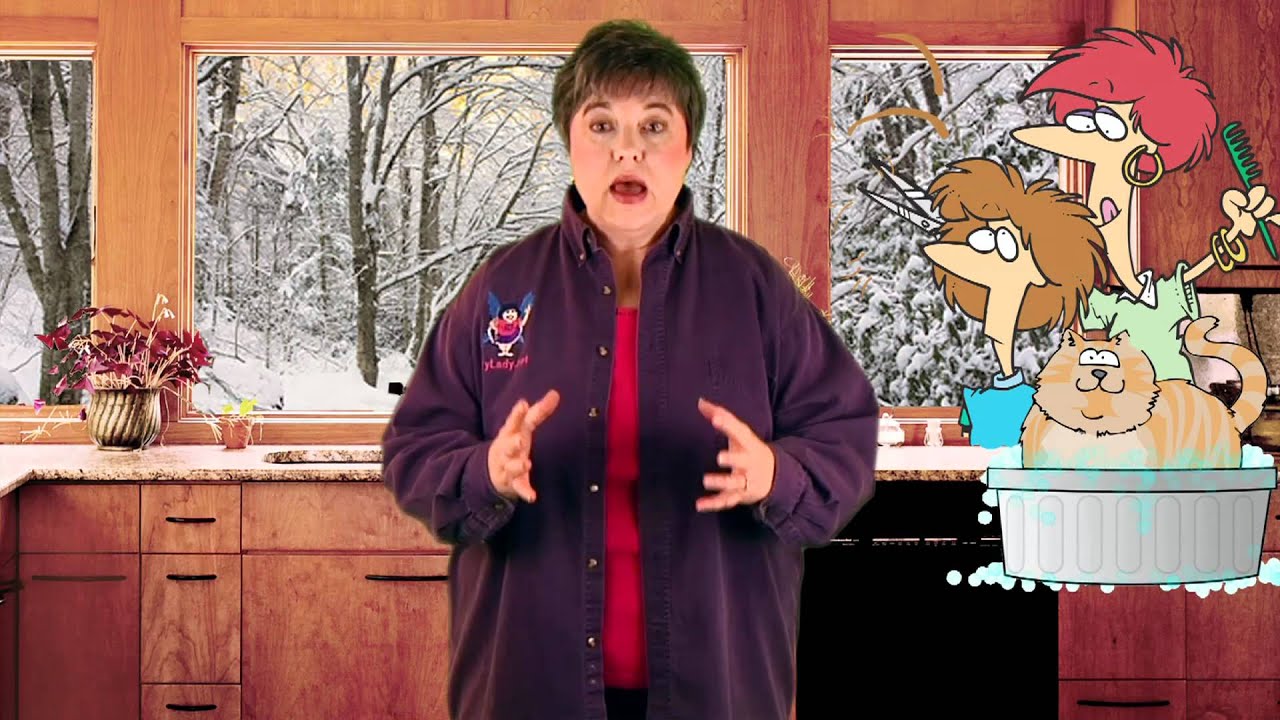 FlyLady TV: как перестать отвлекаться