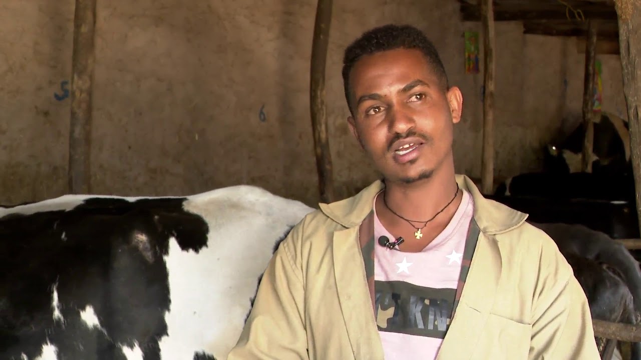 #ትግራይ_ቲቪ፡ሃፍቲ እንሰሳ
