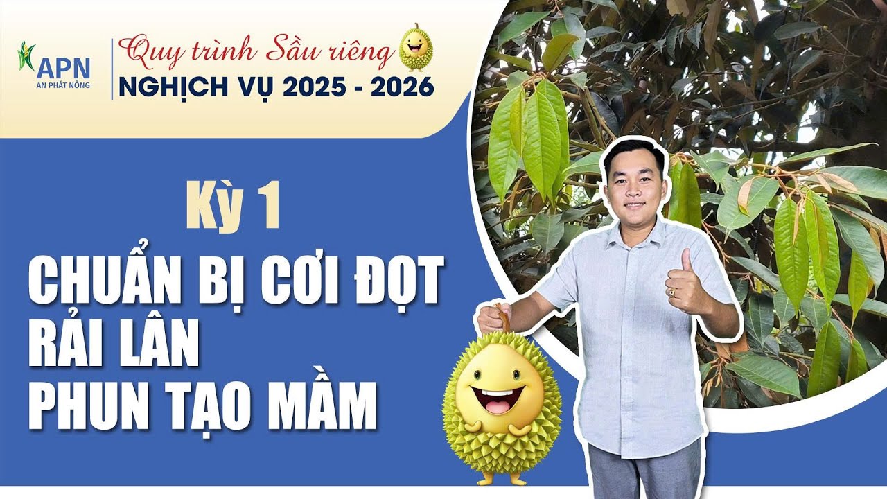 APN - QUY TR&Igrave;NH CHUẨN BỊ CƠI ĐỌT, RẢI L&Acirc;N, PHUN TẠO MẦM | VỤ NGHỊCH 2025 - KỲ 1