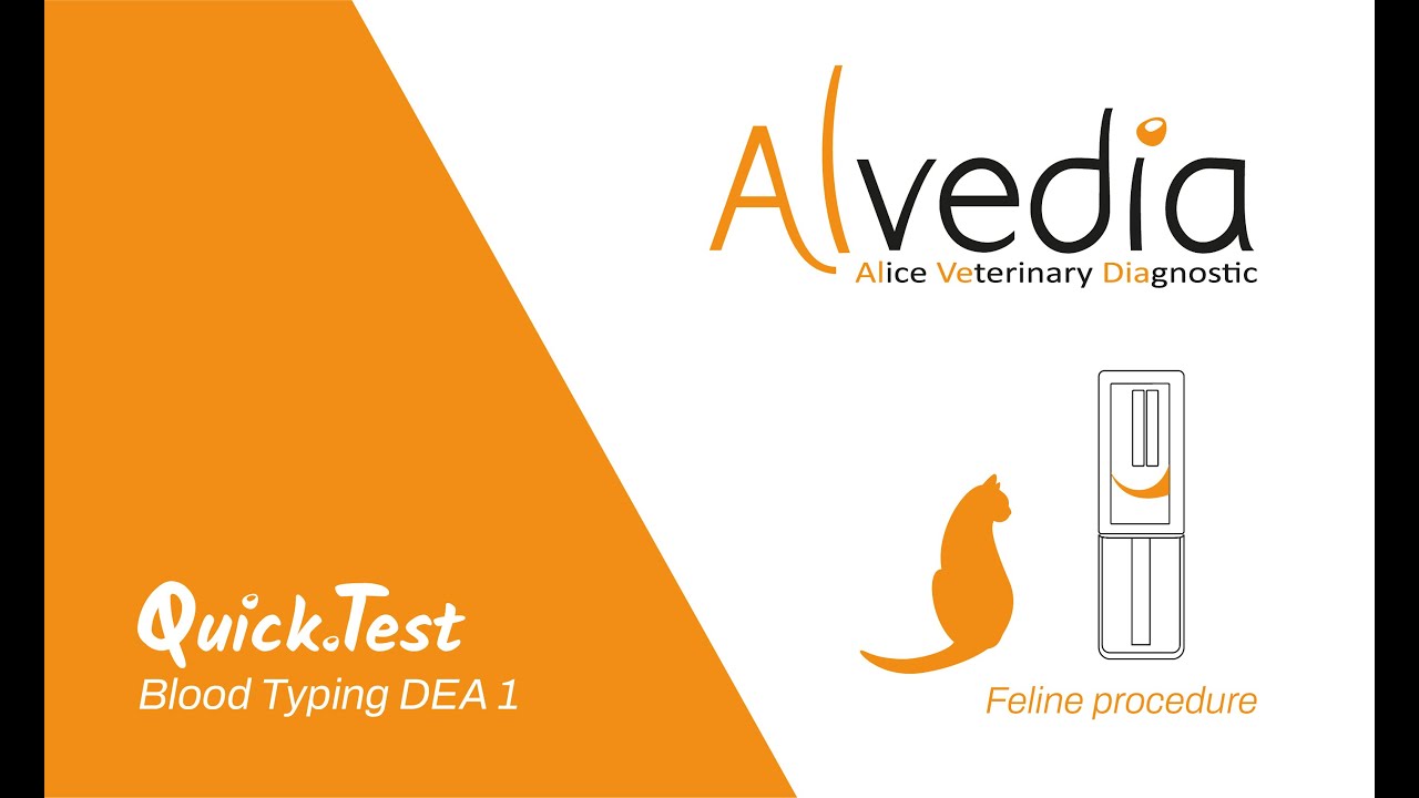 Alvedia | QuickTest Blood Typing (BT) - Feline