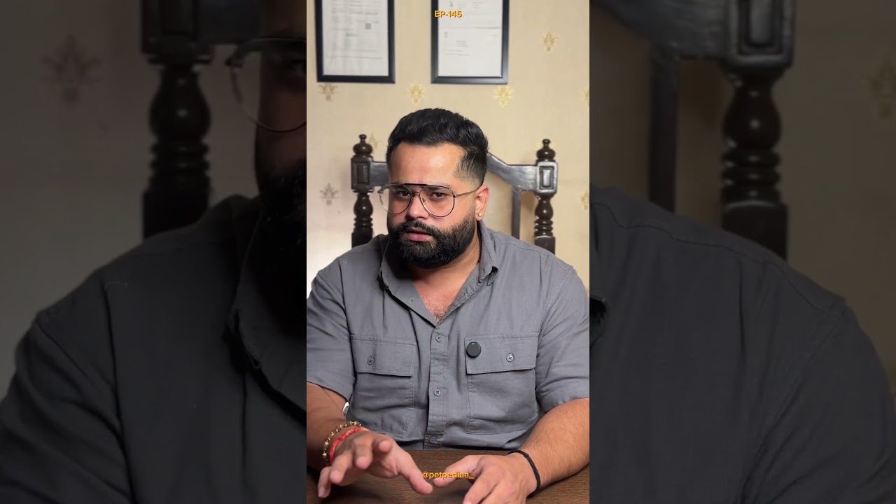 Ragdoll #ragdolls #catbreedinfo #sarcastic #petpediaa #catlover