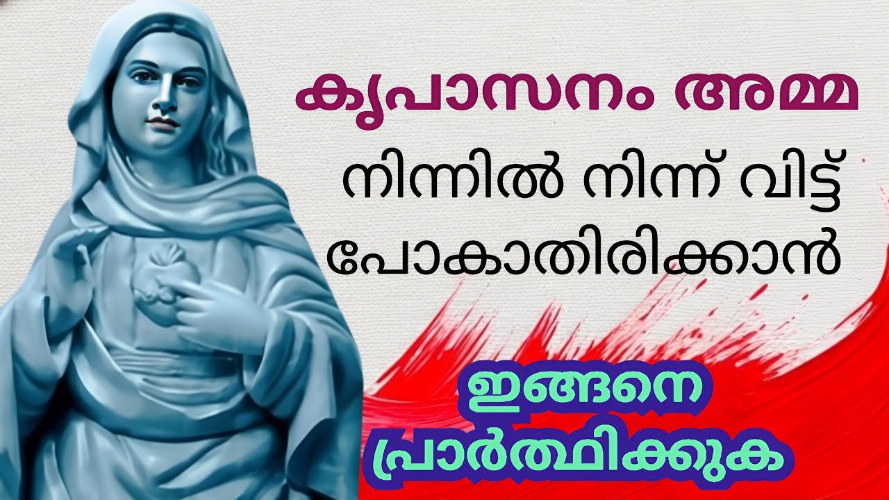 കൃപാസനം അമ്മ നിന്നിൽ നിന്ന് അകന്ന് പോകാതിരിക്കാൻ 🙏8/11/25 #kripasanam  #Kreupasanam #കൃപാസനംഅമ്മ