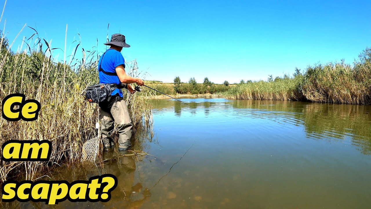 Am Pescuit dupa Avertizarile Hidrologice de Inundatii, CE ATAC Spectaculos!!!