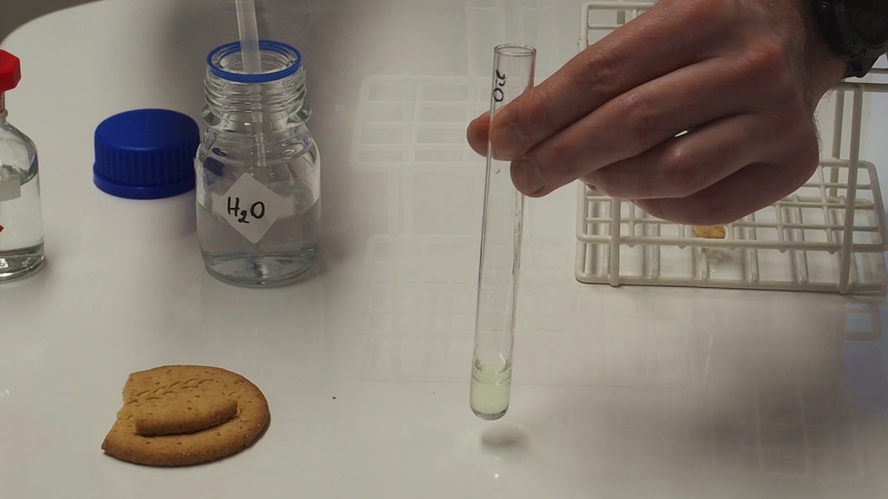 Lipid emulsion test  IGCSE Biology
