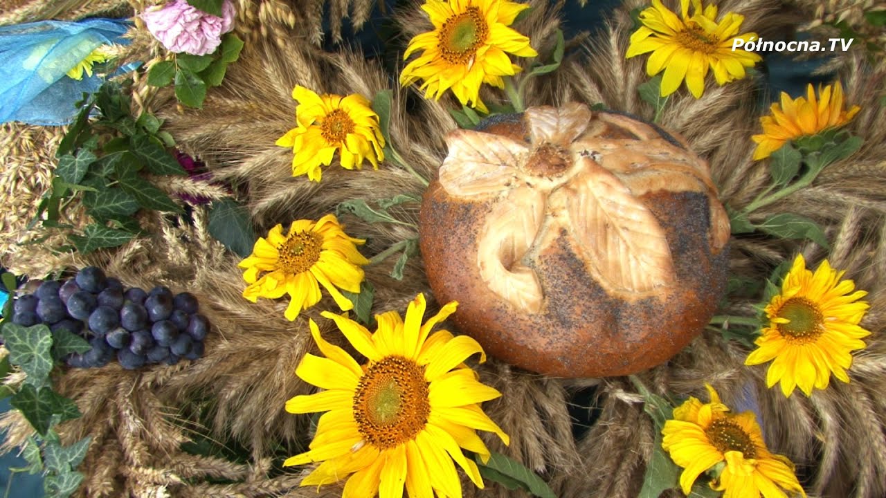 Gmina Cedry Wielkie  - Dożynki Gminne 2016