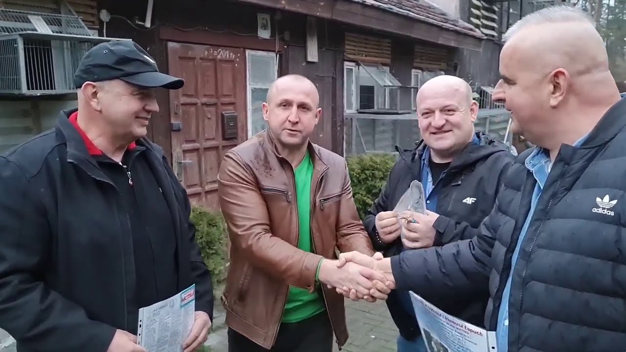 I.K.D. Łepuch - PZHGP 0370 Żary / Odbiór Gołębia !