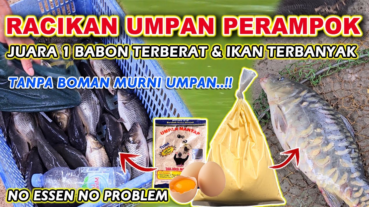 RACIKAN UMPAN PALING KEJAM !! JUARA 1 BABON & IKAN TERBANYAK GACORNYA DI LUAR NALAR ❗❗