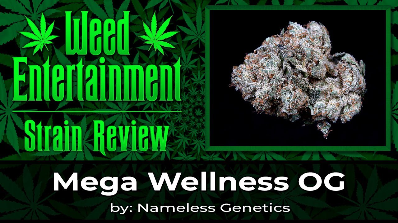 Mega Wellness OG &mdash; от Nameless Genetics &mdash; обзор &mdash; ноябрь 2025 г.