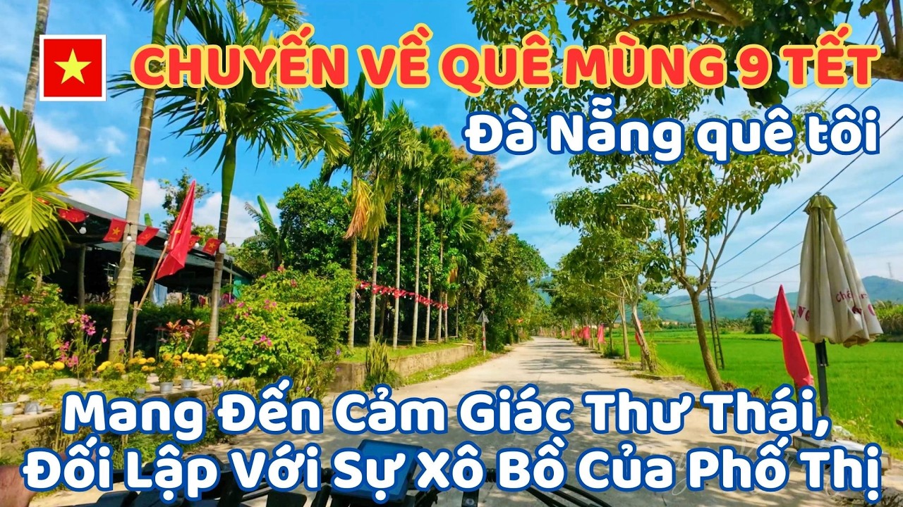 Đà Nẵng: Chuyến Về Quê Mùng 9 Tết Mang Đến Cảm Giác Thư Thái, Đối Lập Với Sự Xô Bồ Của Phố Thị
