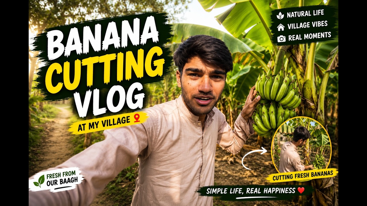 Banana's Cutting From Bhaagh | Siraj Mahmood Village Vlog 