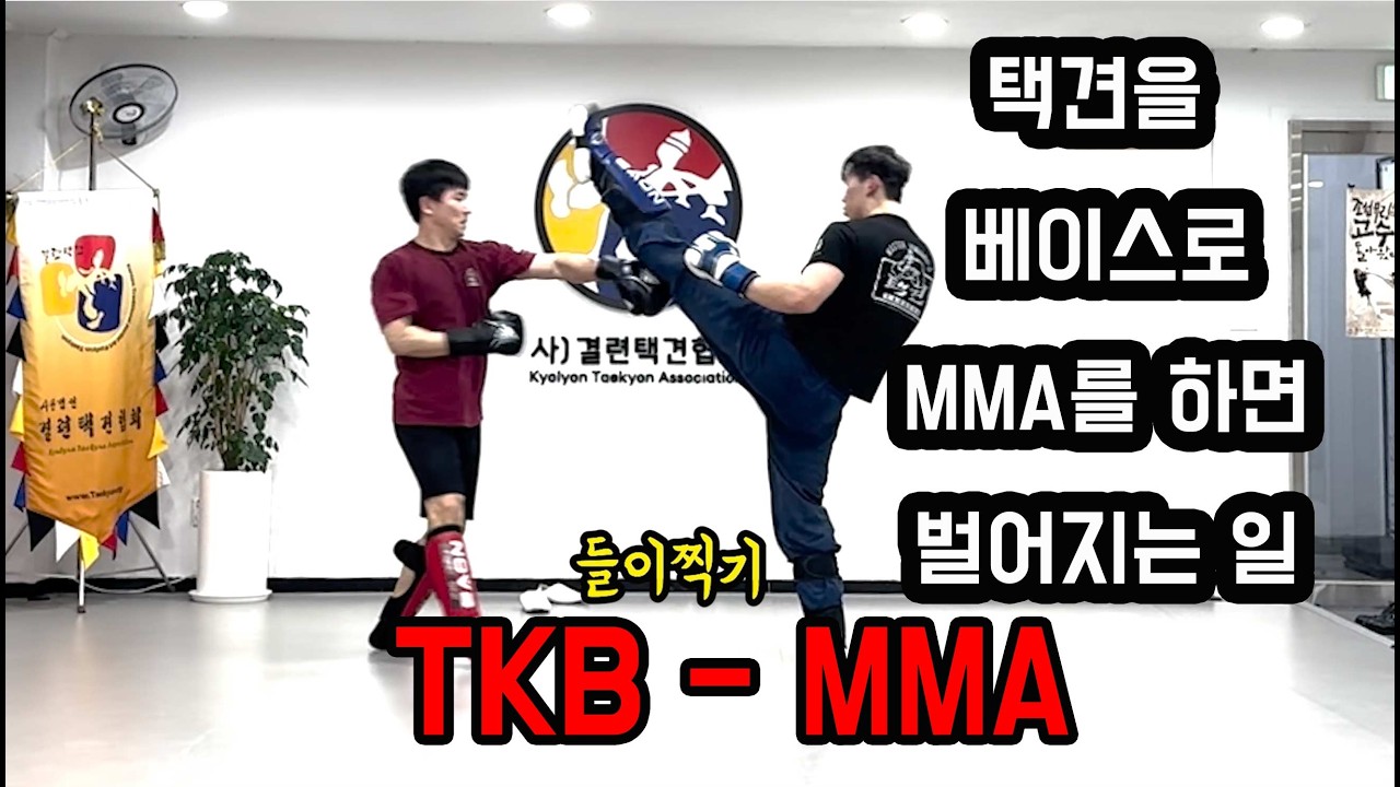 택견을 베이스로 MMA를 하면 벌어지는 일! 옛법택견은 MMA에 더 잘 맞는다??