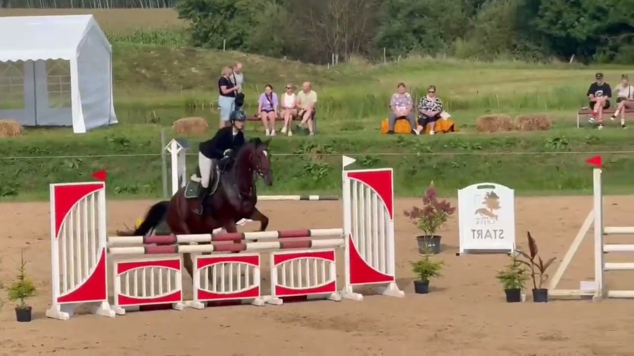 Daisy 2019 - @stallfrasibäck