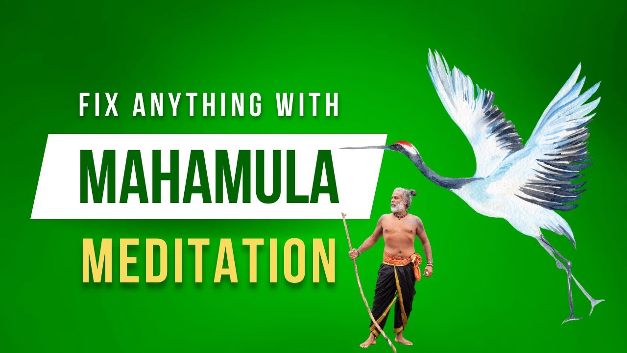 How to fix anything with meditation