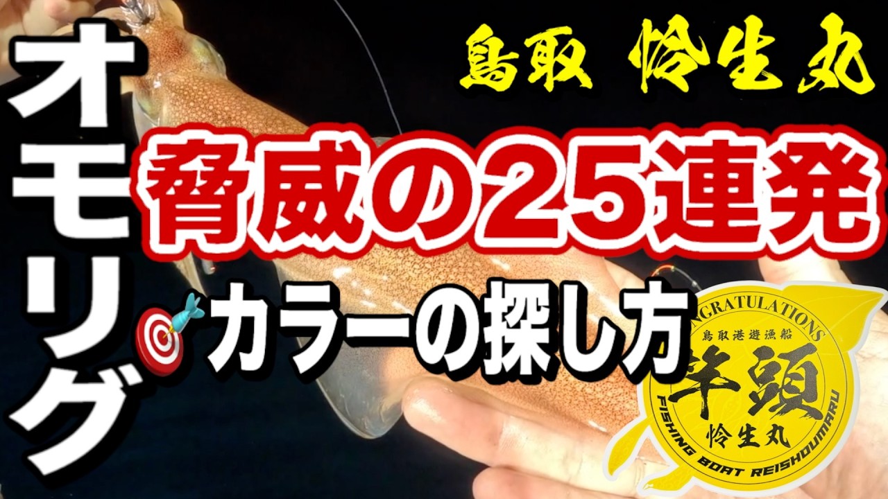 【衝撃の25連発＋10連発】この色に変えた途端、入れ食いが止まらない…。鳥取白イカ遠征で爆釣！