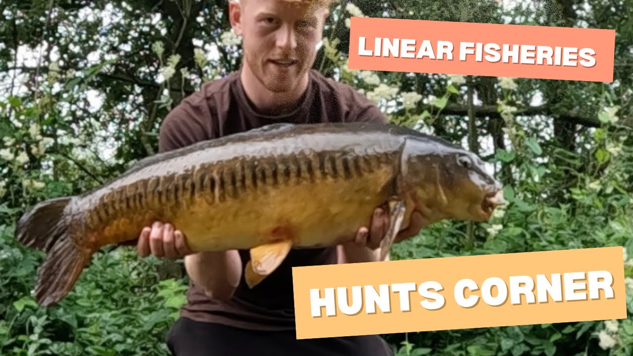 Linear Fisheries | 48 hours on Hunts Corner | July 2024