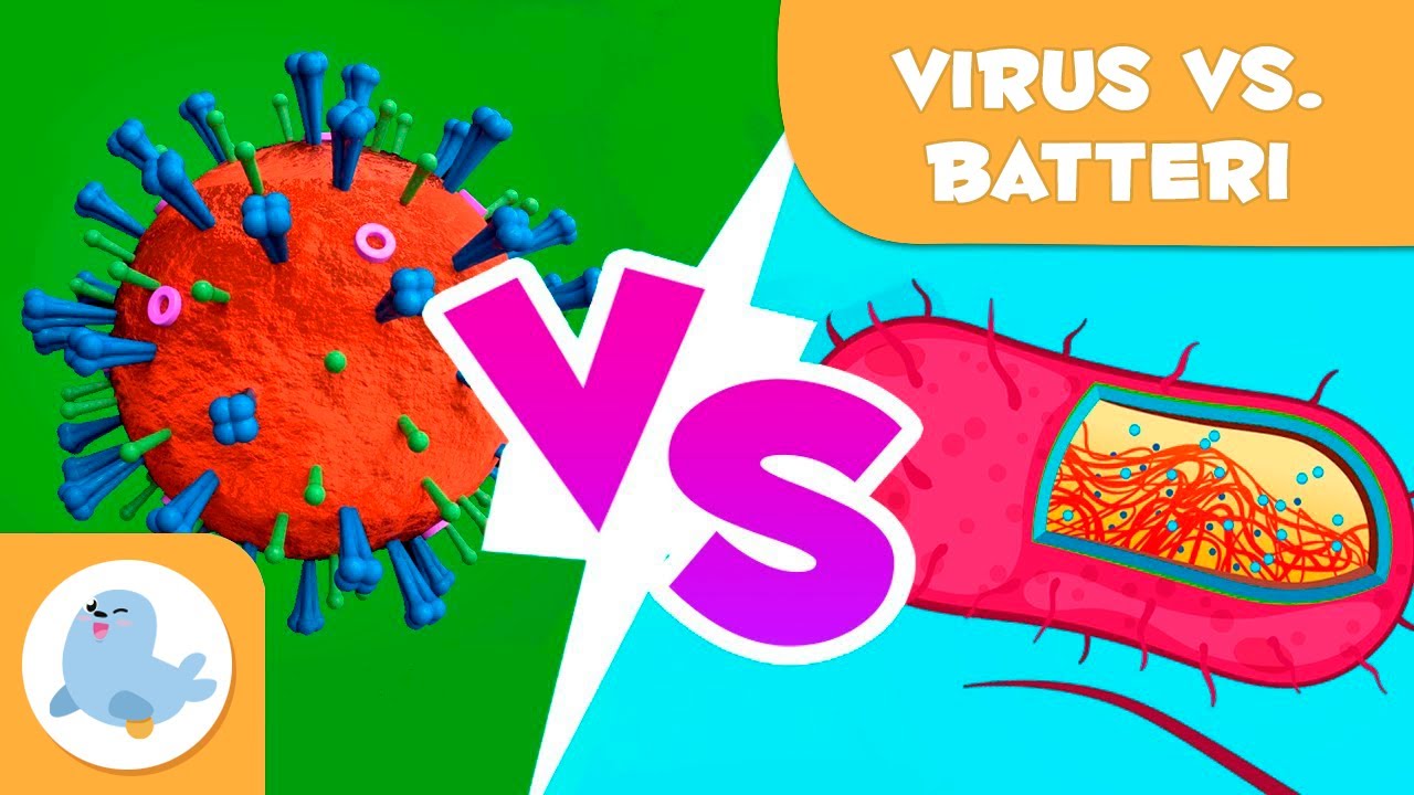Virus e batteri - Quali sono le differenze?