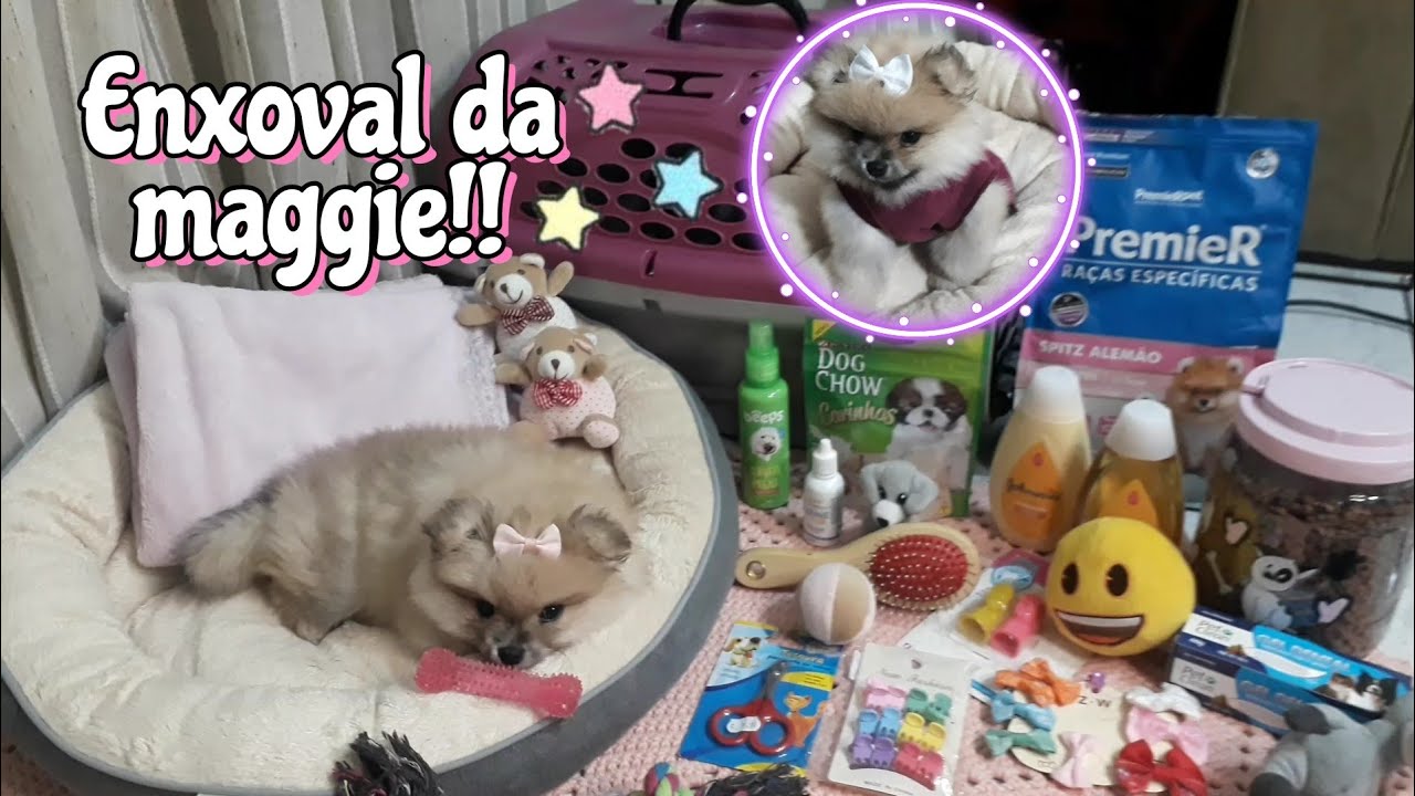 ENXOVAL DA MINHA BEBÊ CACHORRINHA! (lulu da pomerania)