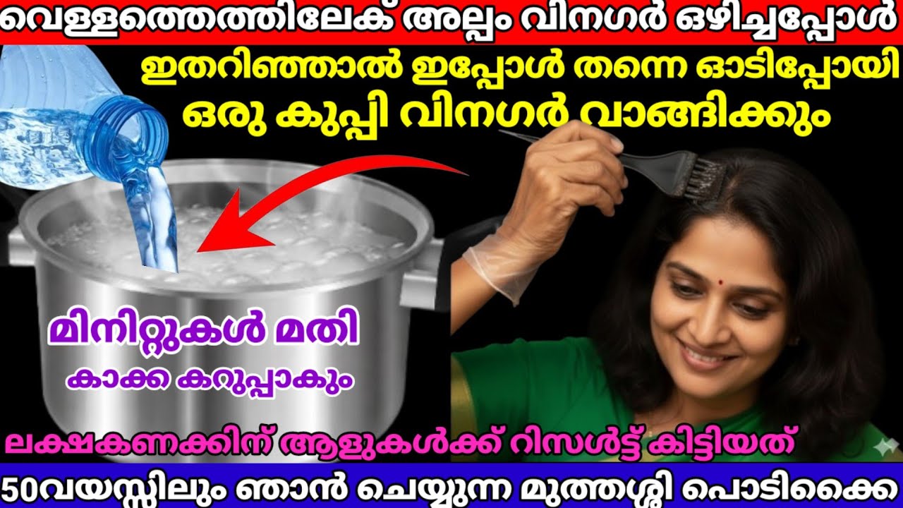 വിനഗർ ആളു ഭയങ്കരൻ തന്നെ ഒറ്റയടിക്ക് മുടി കാക്കകറുപ്പക്കാൻ മുത്തശ്ശി പറഞ്ഞ പൊടിക്കൈ|viralvideo|hair 