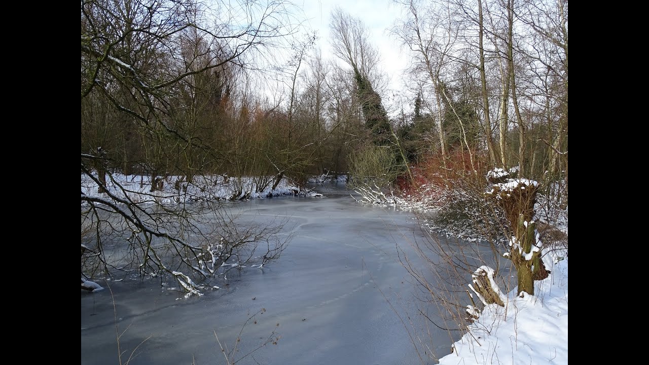 Winter in Amsterdam: een besneeuwd Sloterpark met o.a. de Heemtuin, diverse vogels en Sloterstrand