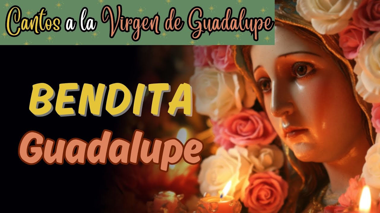 Bendita Guadalupe