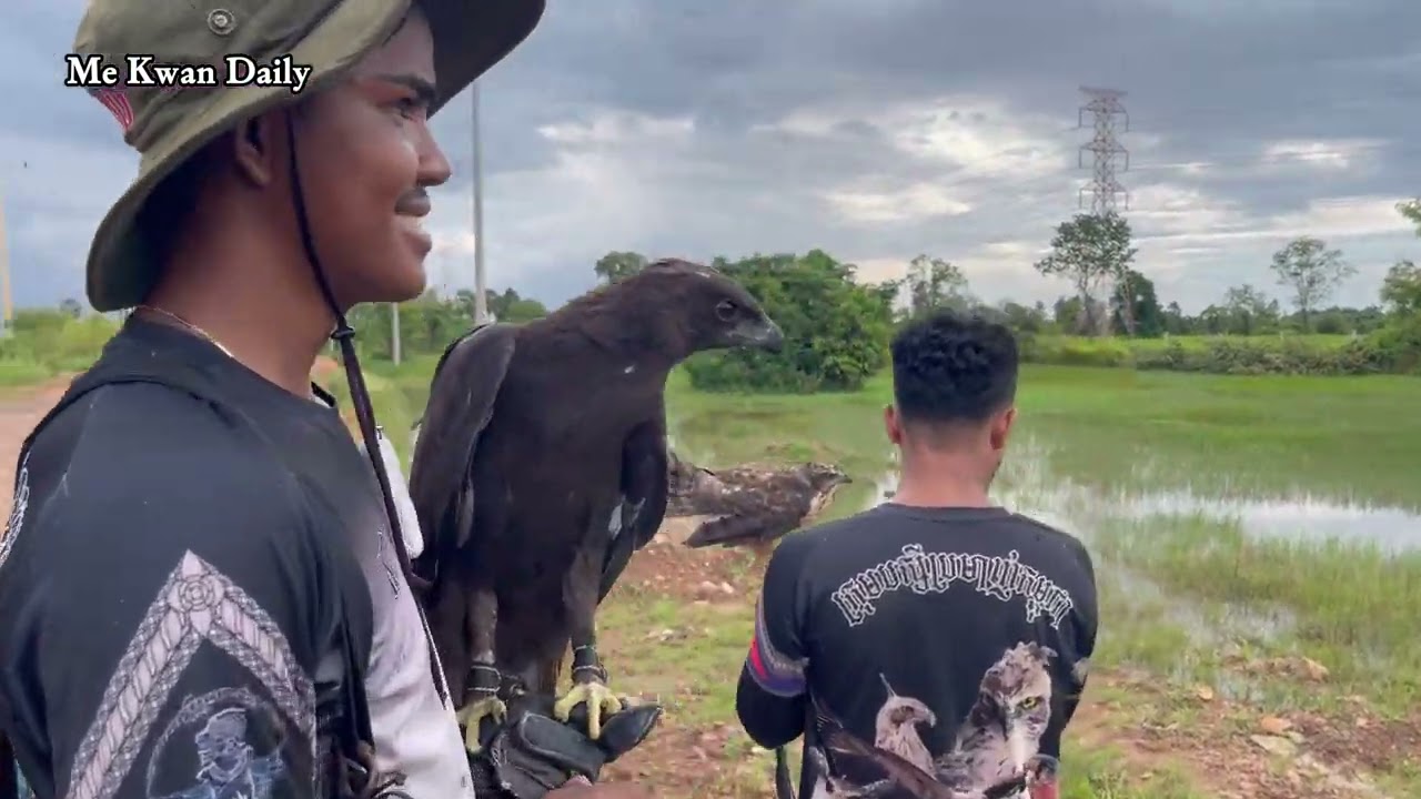 ទេសភាពវាល ចេញបង្អើលស.ត្វ.កា.ច់.ស្រូ.វ.នៅប្រលានយន្តហោះថ្មី