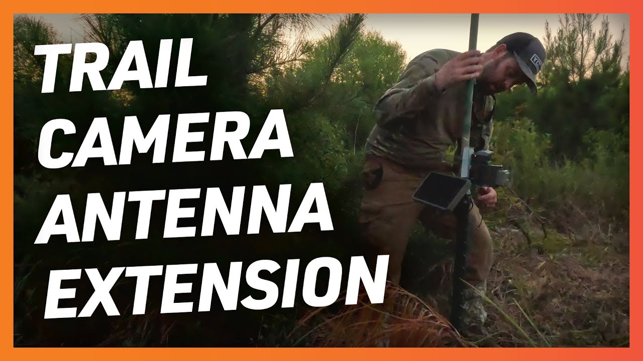 Extend the Antenna on Your Trail Camera for Better Signal
