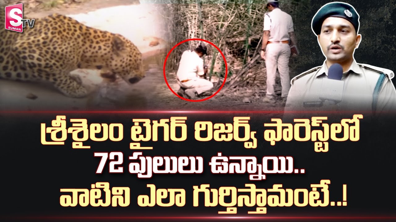 Nagarjuna Sagar Srisailam Tiger Reserve Special Story | Srisailam Forest