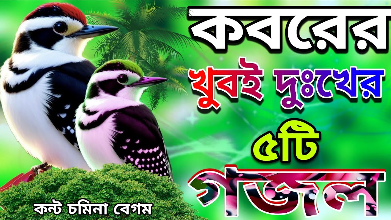 কবরের শেষ বিদায়ের খুবই দুঃখের মন প্রাণ জুড়ানো সেরা ৫টি গজল // Somina Begum // New hart taching gojol