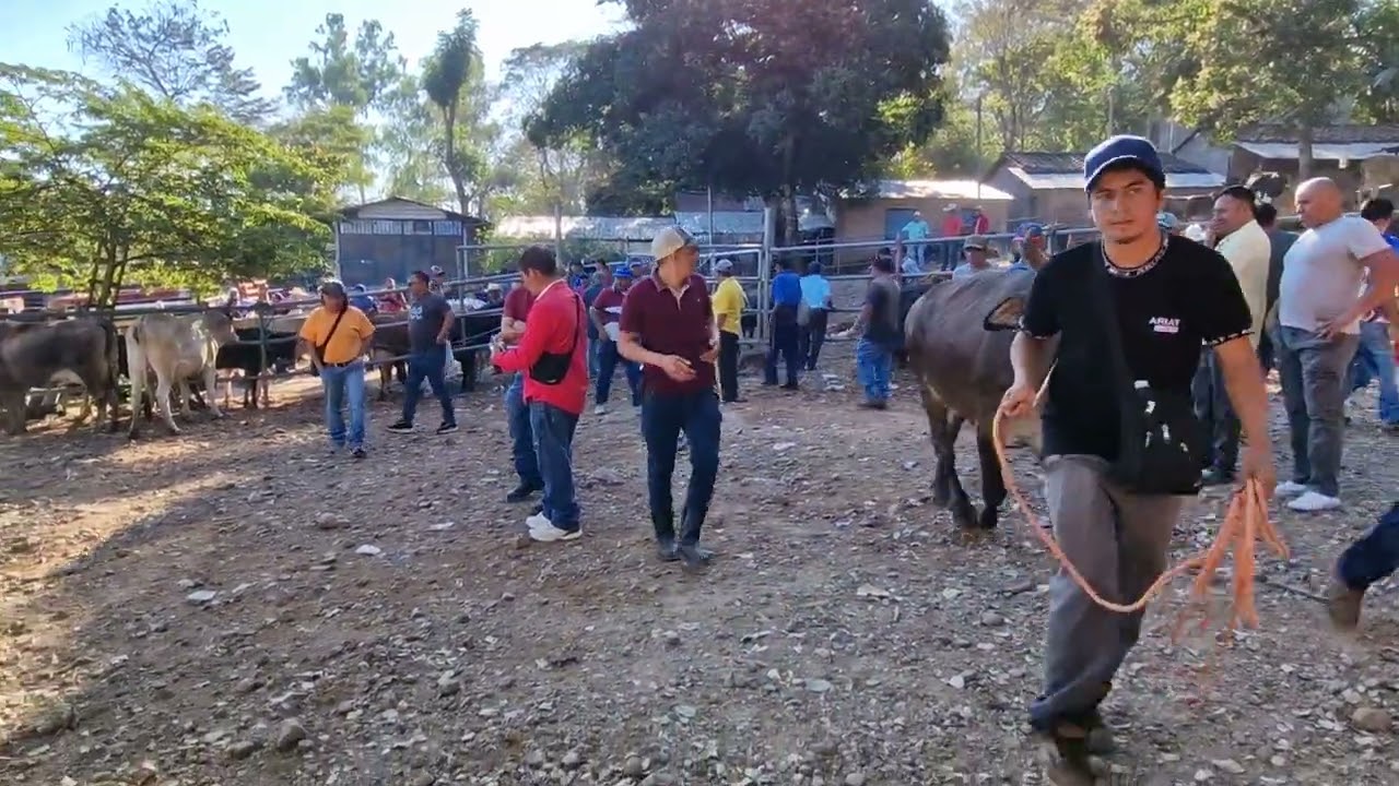 Osicala, Morazán, El Salvador, viernes 13 de febrero 2026