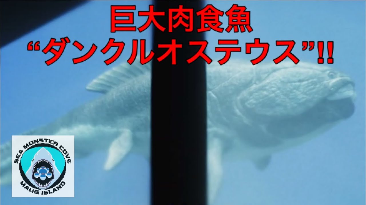 古代の巨大ザメやダンクルオステウスなどがいるVR水族館! 『シーモンスターコーブ』