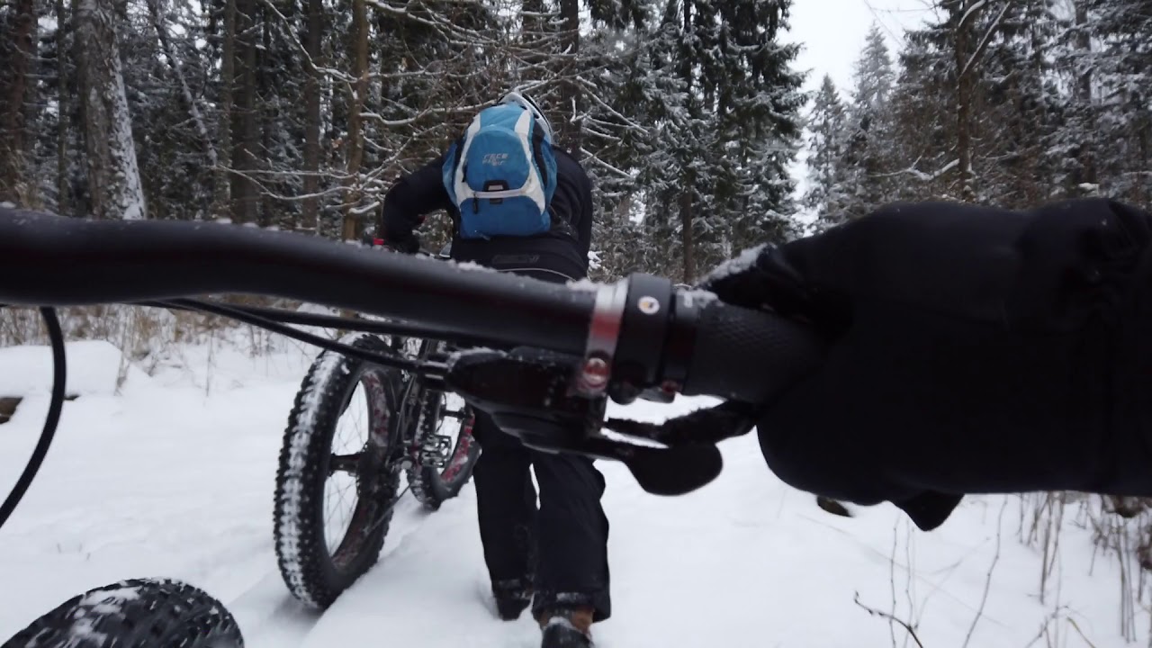 Snow Forest Ride