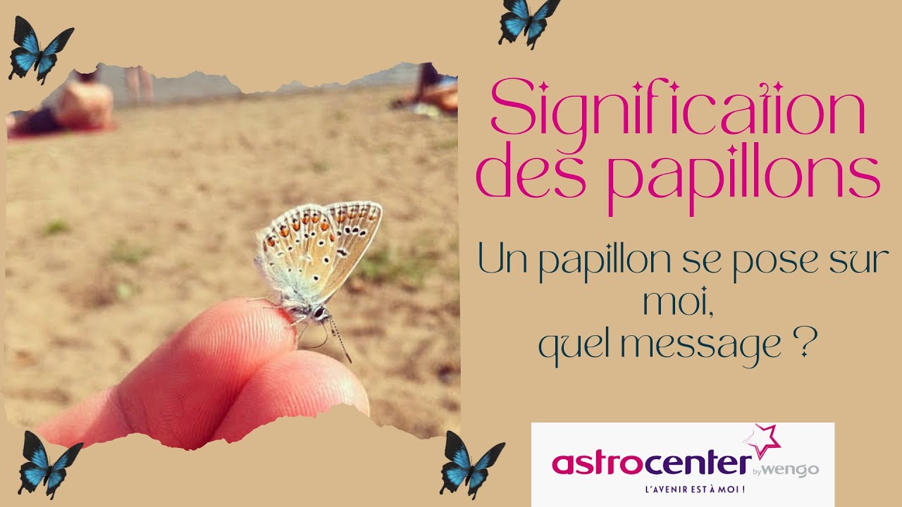Signification des papillons, quel est le message selon leur couleur ?