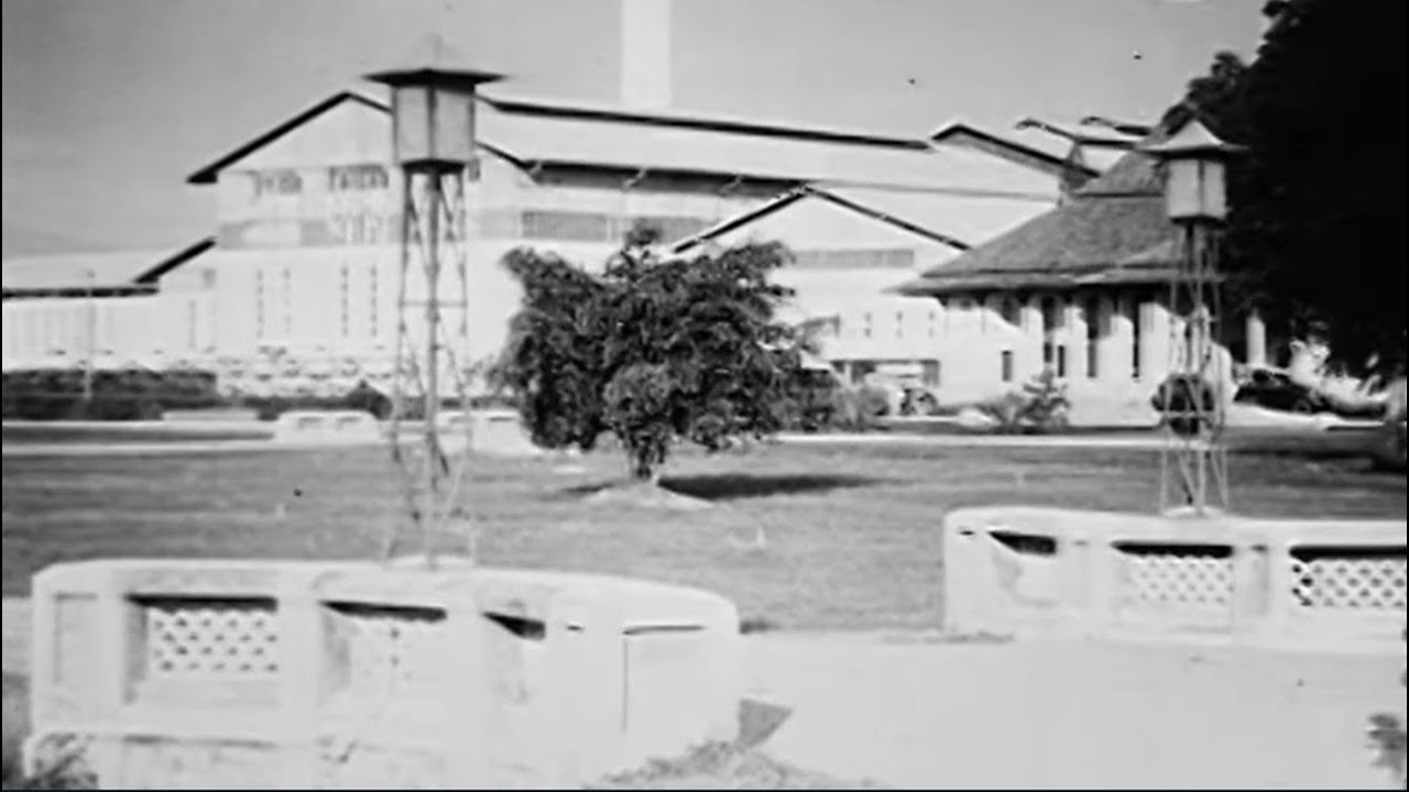 Industri Gula di Jawa Tengah dan Jawa Timur tahun 1926 - Kejayaan Pabrik Gula Tempo Dulu [INDO SUB]
