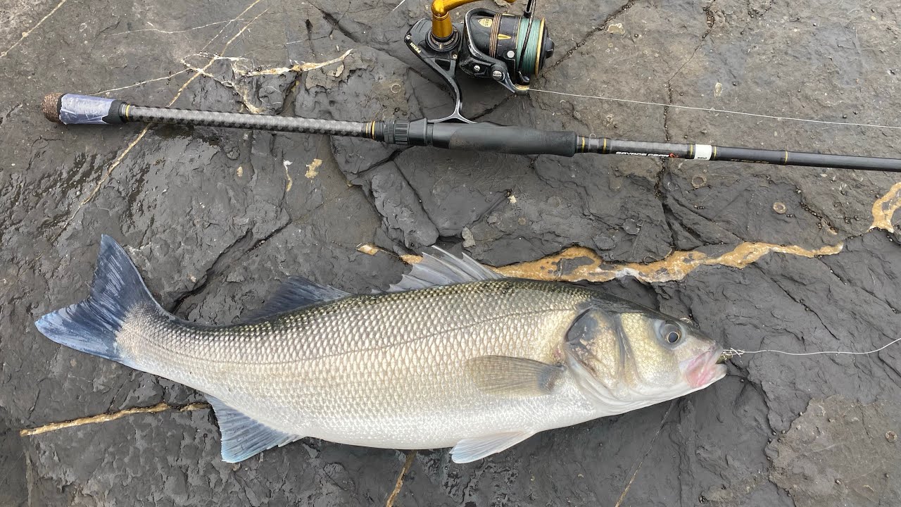 Sea bass fishing, East Cork, Ireland