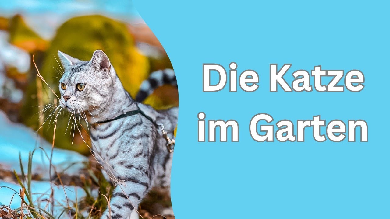 Eine Türkisch Angora bei uns im Garten?!