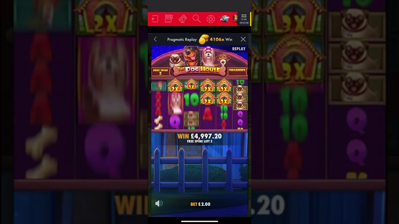 Insane 5 scatter dog house megaways MAX WIN?! 4106x spun in bonus