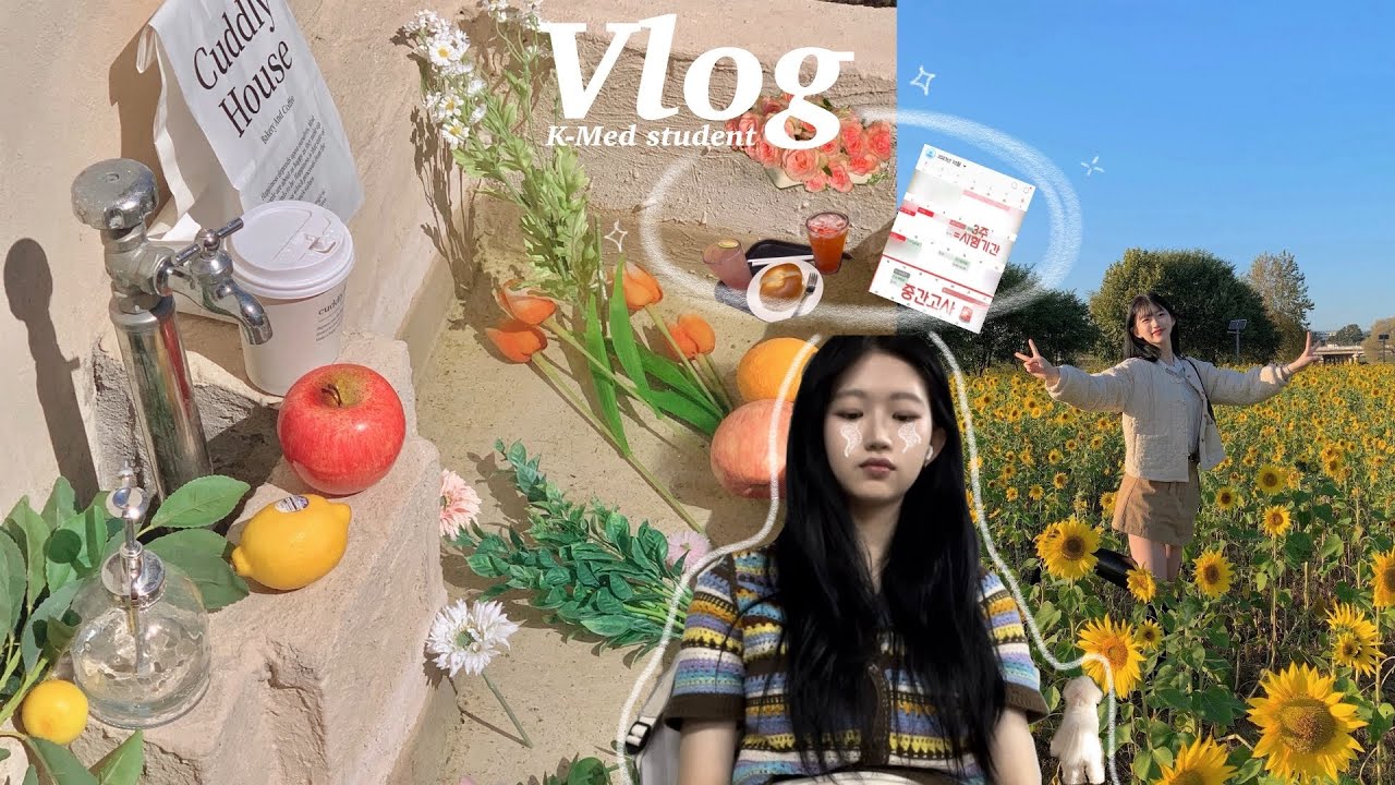한의대생 브이로그 4 ㅣ본2-2 매주 시험기간인 대학생이 있다? ㅣ 공강 4시간 꽃구경🌻🌸 타임어택 성공하기, 짬내서 간 경주여행