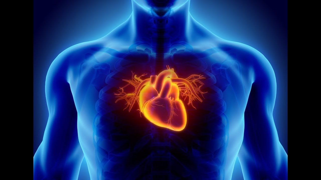 Causas, síntomas y diagnóstico del soplo al corazón