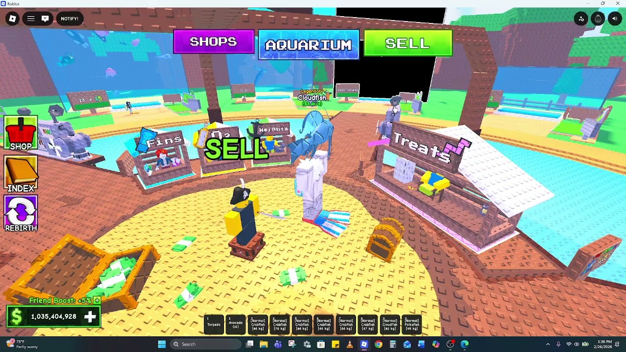PLAYING DIVE DOWN