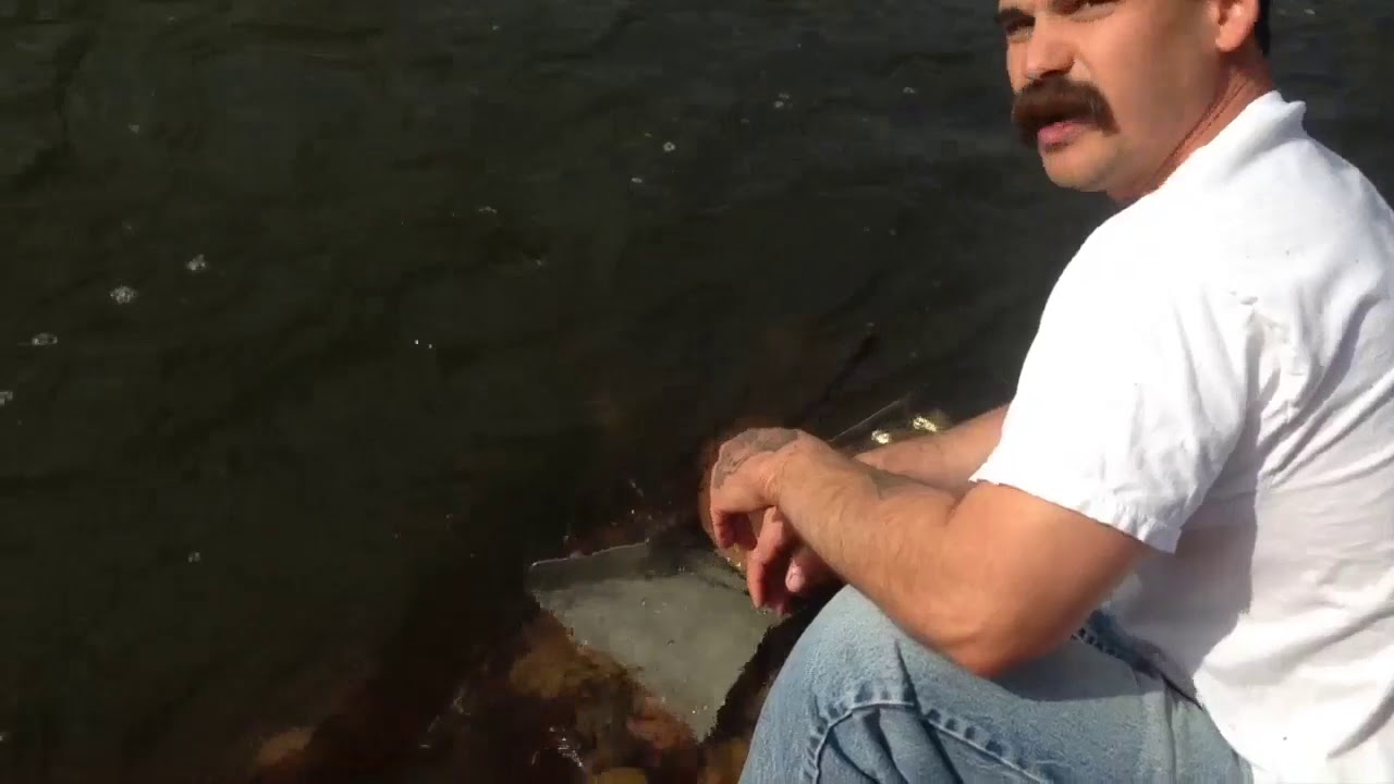 Adam's Adventures: Panning for gold in the Kern River!