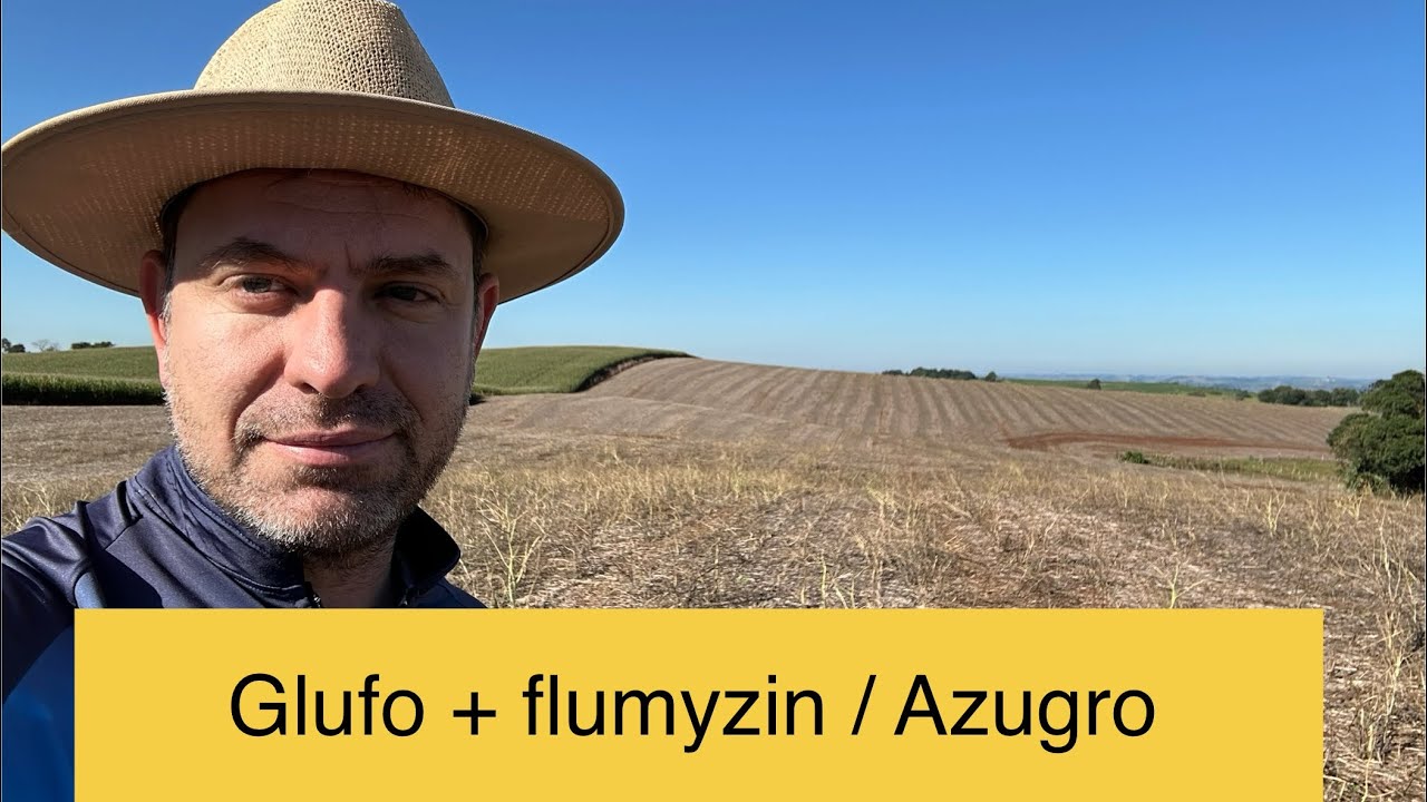 Manejo azevém pré trigo
