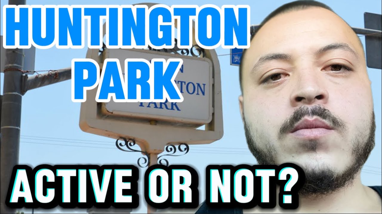 Are they really active?(Hunington Park)