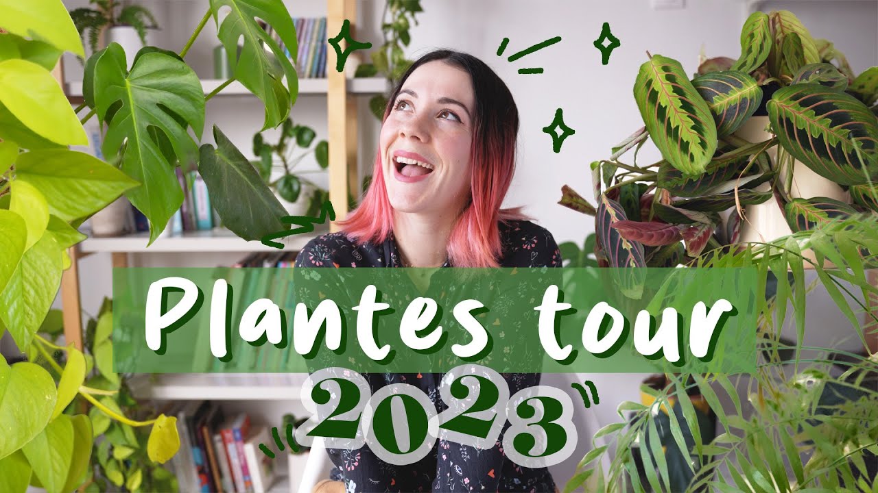 Plantes tour 2023 🌿intérieur et balcon