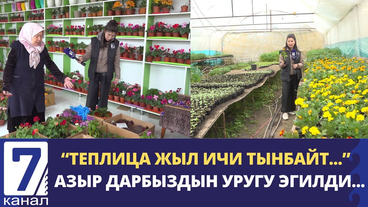 ЖАЛАЛ-АБАД: 30 ЖЫЛДЫК ГҮЛ БИЗНЕС