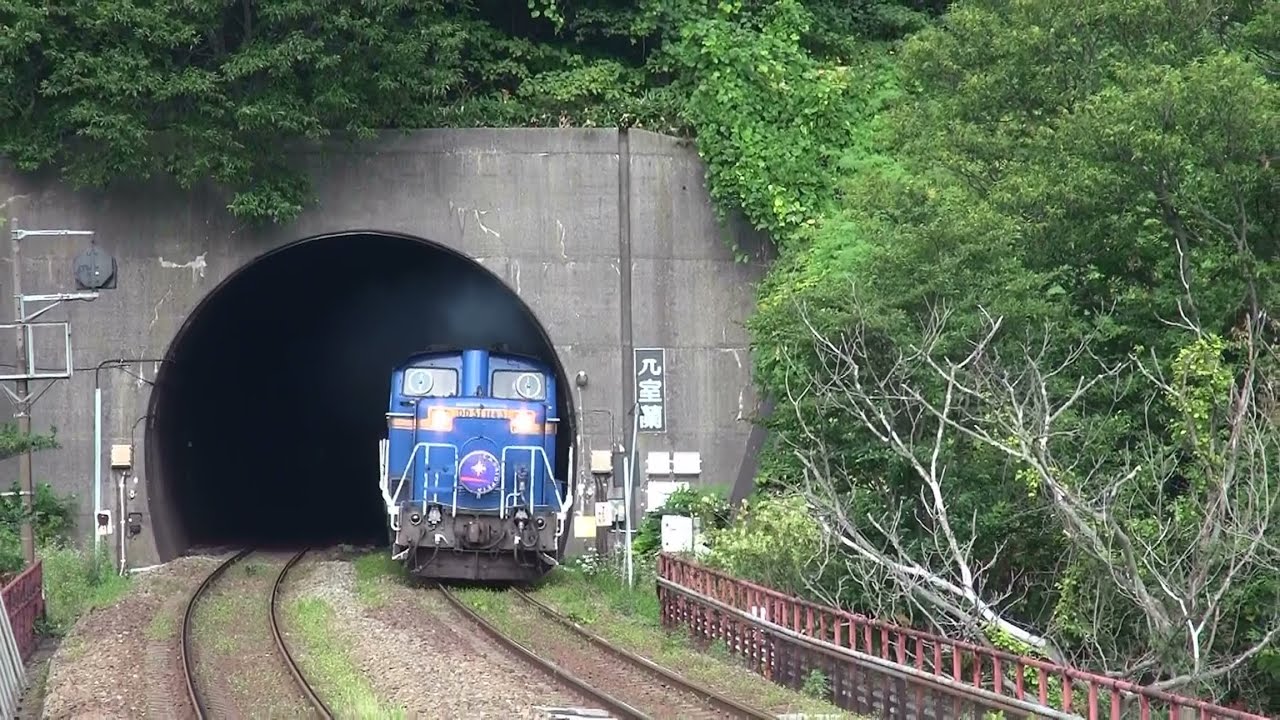 DD51重連牽引 寝台特急トワイライト カシオペア 北斗星