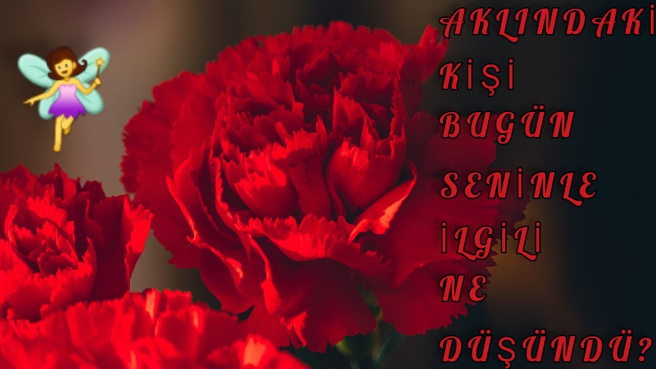 AKLINIZDAKİ KİŞİ BUGÜN  SİZİNLE İLGİLİ NE DÜŞÜNDÜ? #aklımdakikişi #erildişilenerji #desteseç#aboneol