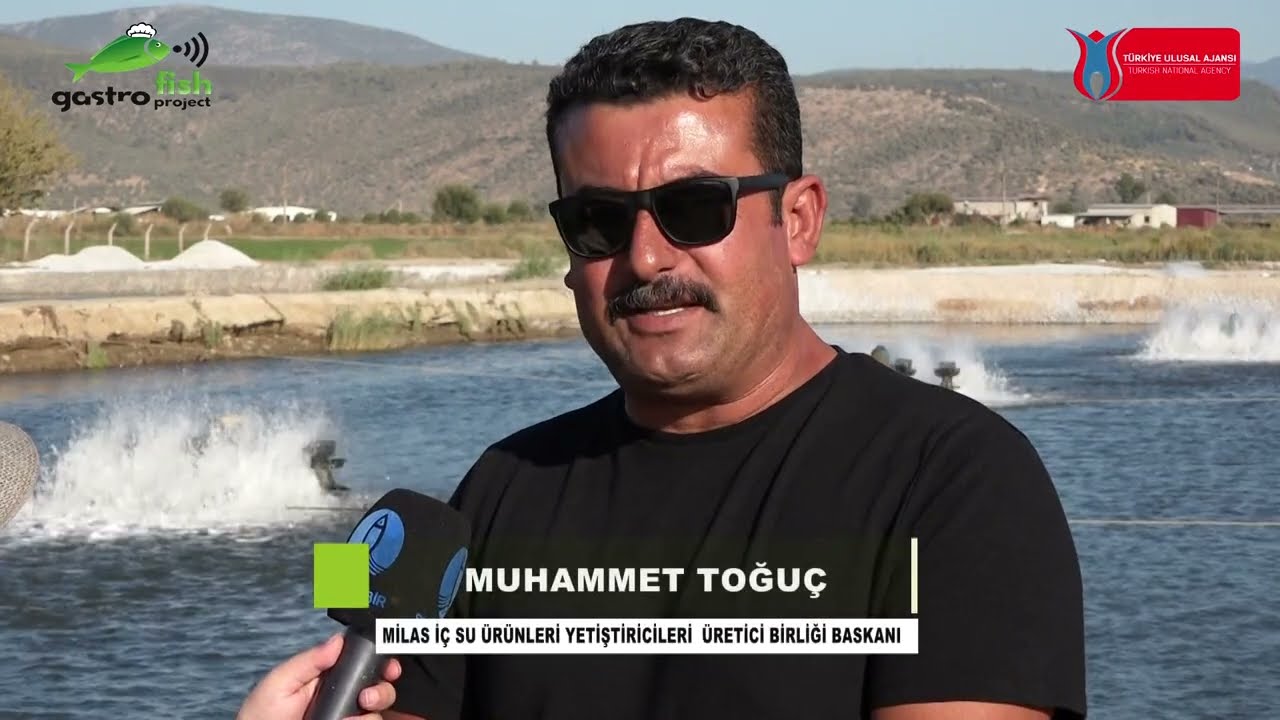 Milas Su Ürünleri Yetiştiriciliği Üretici Birlik Başkanı ile Röportaj - Suymerbir Gastrofish Project